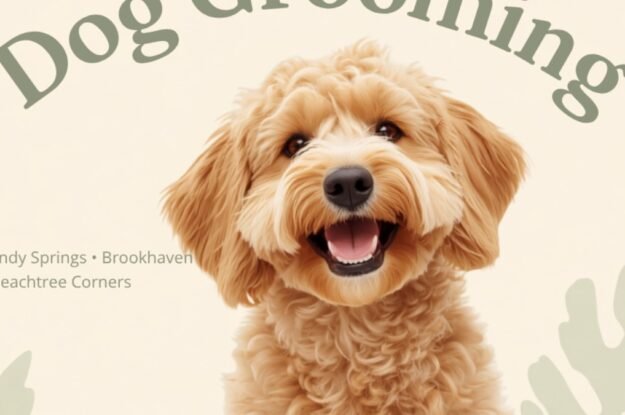 Dog Grooming Near Sandy Springs, Brookhaven & Peachtree Corners — Why Families Choose Robin’s Groomingdales