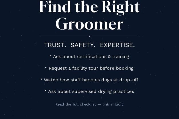 How to Choose a Dog Groomer in Dunwoody: What Every Pet Owner Should Know