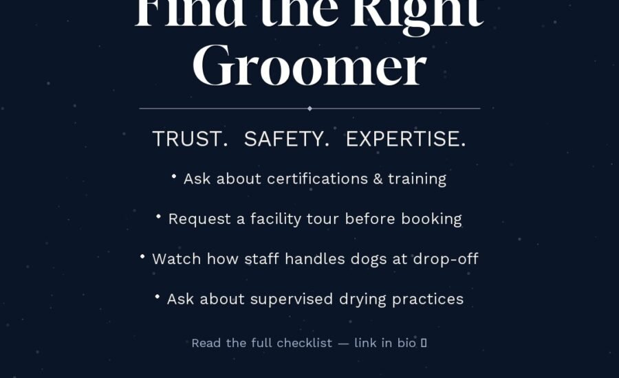 , How to Choose a Dog Groomer in Dunwoody: What Every Pet Owner Should Know