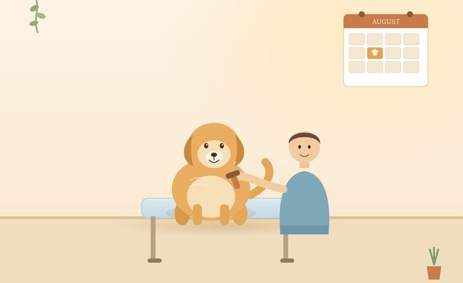 Illustration of a dog groomer brushing a golden retriever on a grooming table with a wall calendar marking a booked August appointment at Robin's Groomingdales in Dunwoody, GA