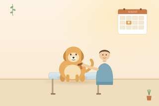 Illustration of a dog groomer brushing a golden retriever on a grooming table with a wall calendar marking a booked August appointment at Robin's Groomingdales in Dunwoody, GA