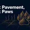 Hot Pavement, Hot Paws: Protecting Your Dog's Paws During Georgia Summer Walks