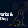 Grooming Before the Fireworks: July 4th Anxiety & Care Tips for Dunwoody Dogs