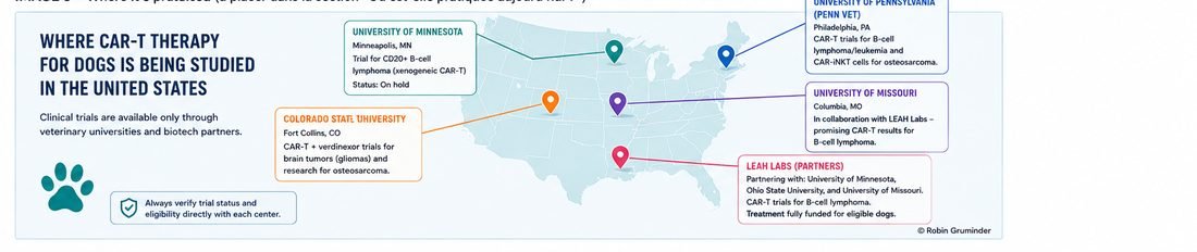 Map of the United States showing university research centers running CAR-T clinical trials for dogs