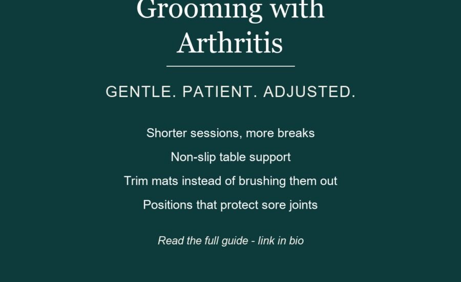 Illustration reminding Dunwoody dog owners to adjust grooming sessions for senior dogs with arthritis