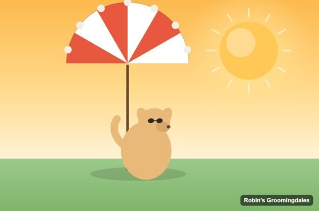 Sun Protection for Dogs: Why Shaved & Light-Coated Dogs Need Sunscreen This Summer in Dunwoody, GA