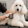 The Brushing Mistake That Sends Most Dogs to the Groomer Tangled