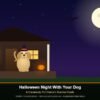 Halloween Night With Your Dog: A Dunwoody Pet Owner's Survival Guide
